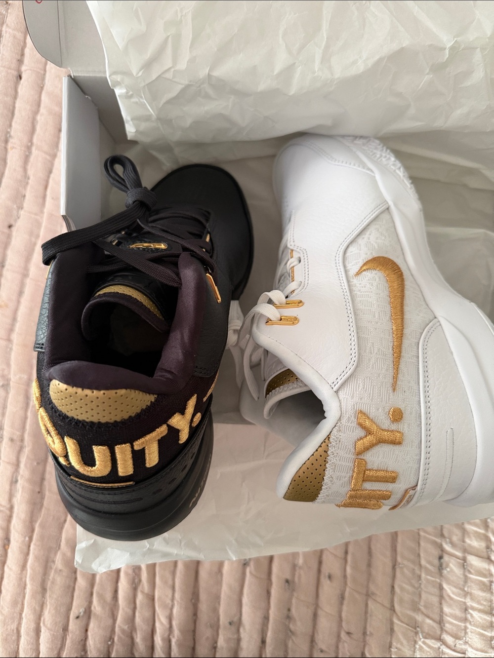 Nike Zoom LeBron NXXT GEN AMPD “equity” black and white. New size 11
